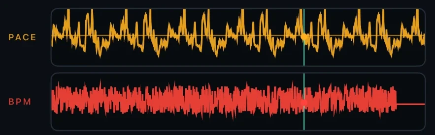 PACE 는 이어지는데 BPM 만 오른쪽 끝에서 평평해진 화면
